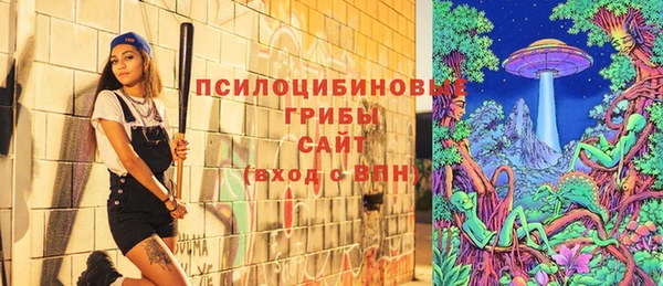стафф Горняк