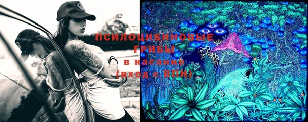 стафф Горняк