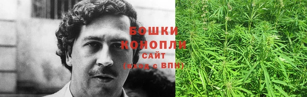 стафф Горняк