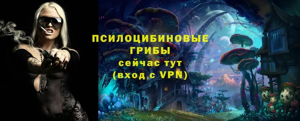 стафф Горняк