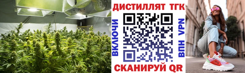 Дистиллят ТГК концентрат  наркота  Николаевск-на-Амуре 