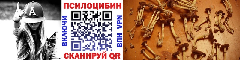 купить наркотики цена мориарти клад Псилоцибиновые грибы Cubensis Николаевск-на-Амуре